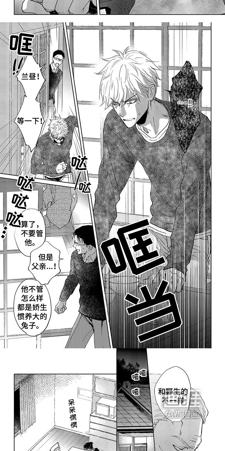 第4章：喜欢