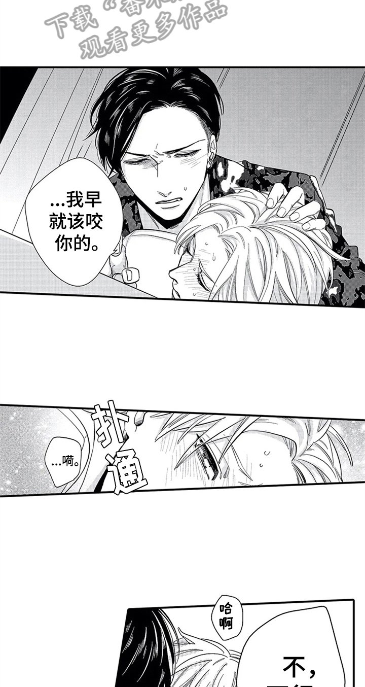 第15章：胡思乱想