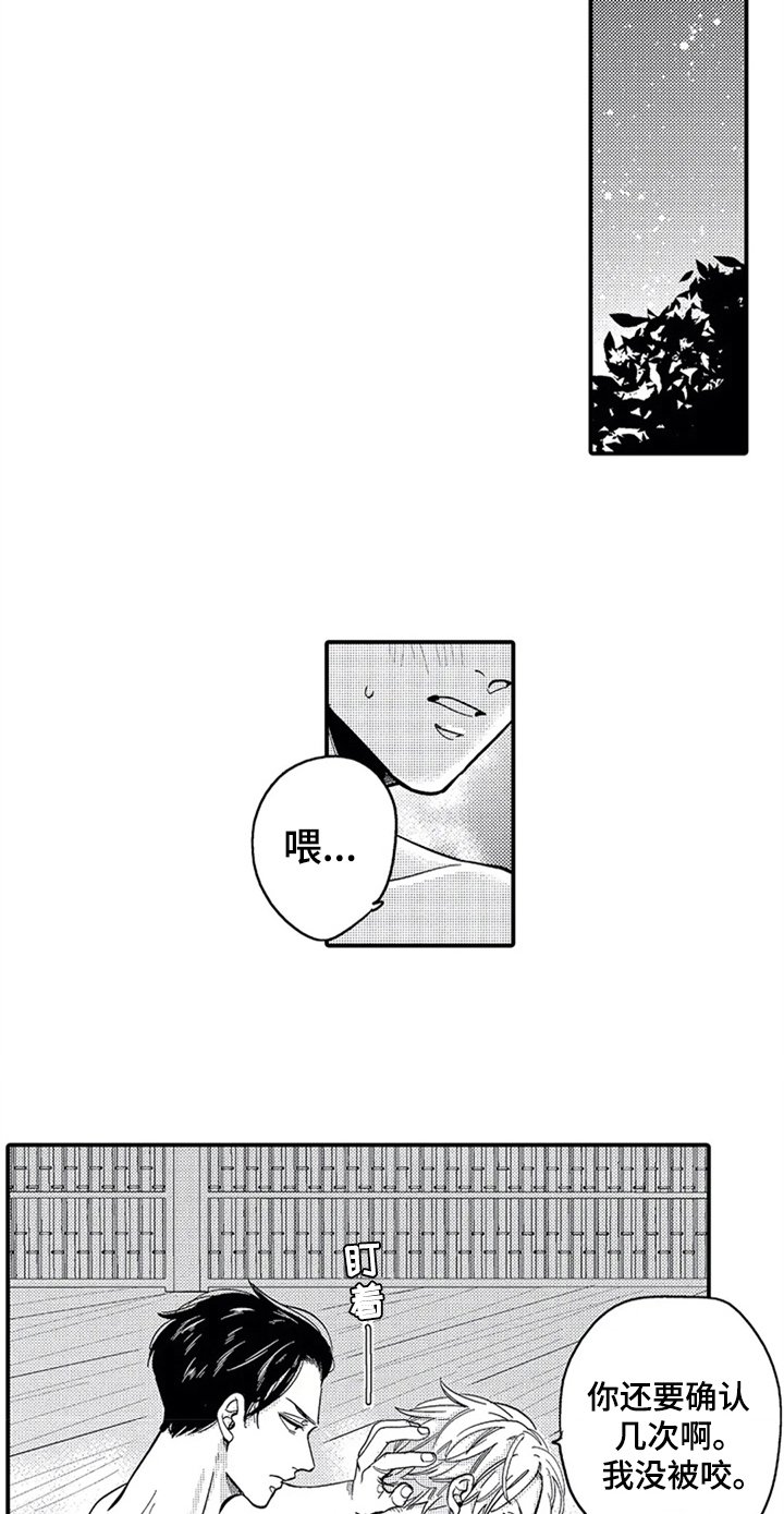 第18章：经历