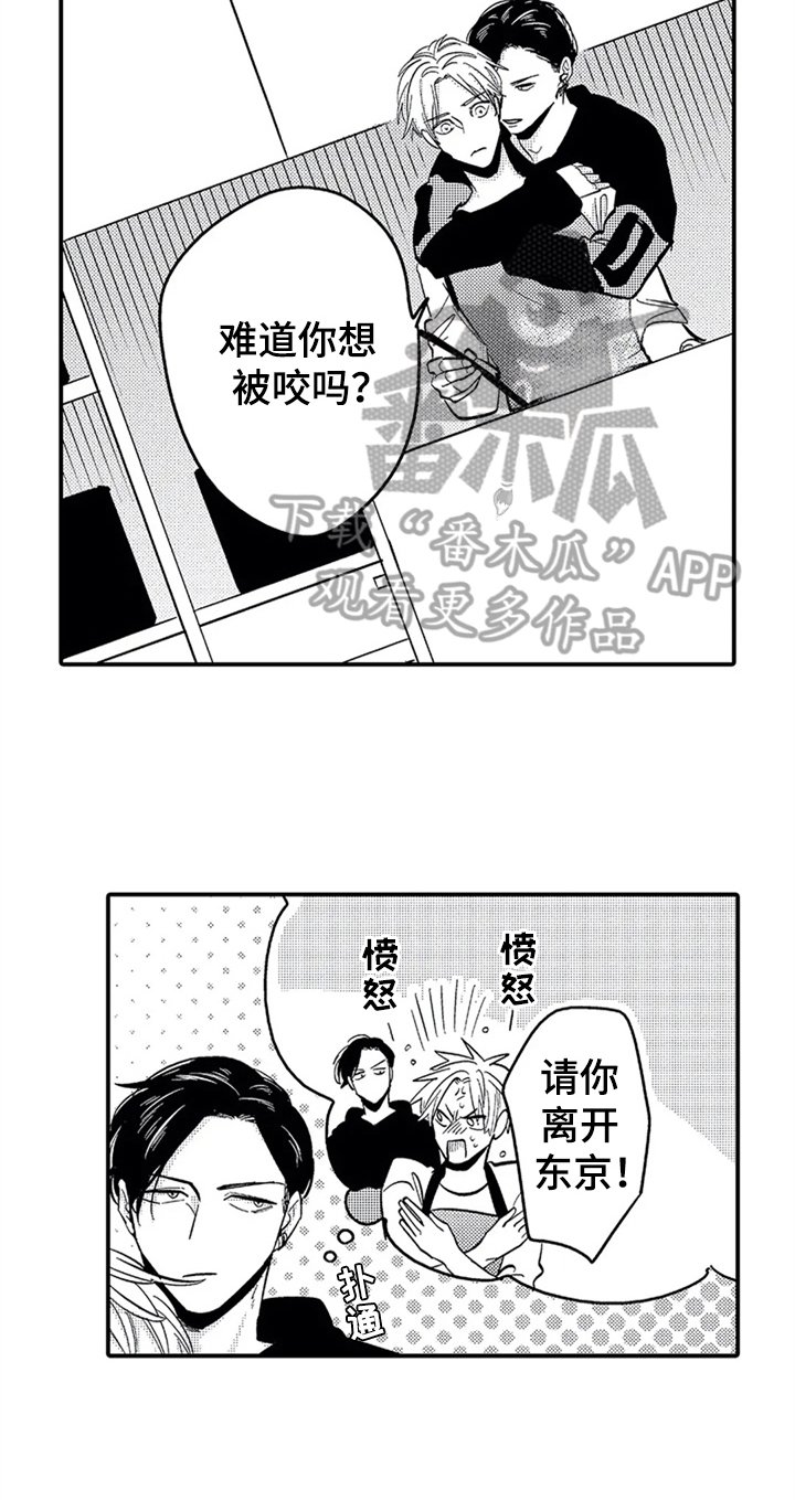 第20章：更珍惜