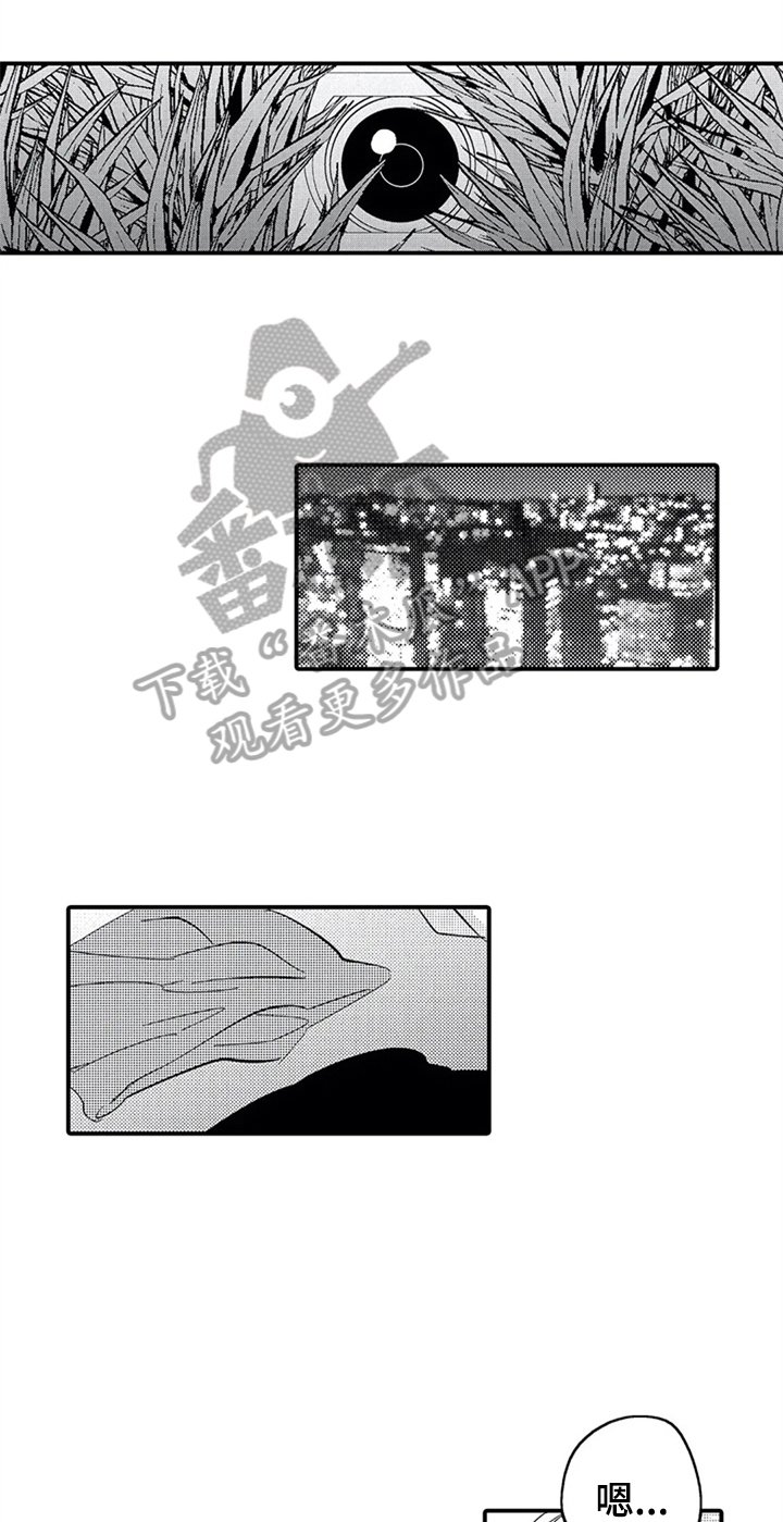 第22章：偷拍