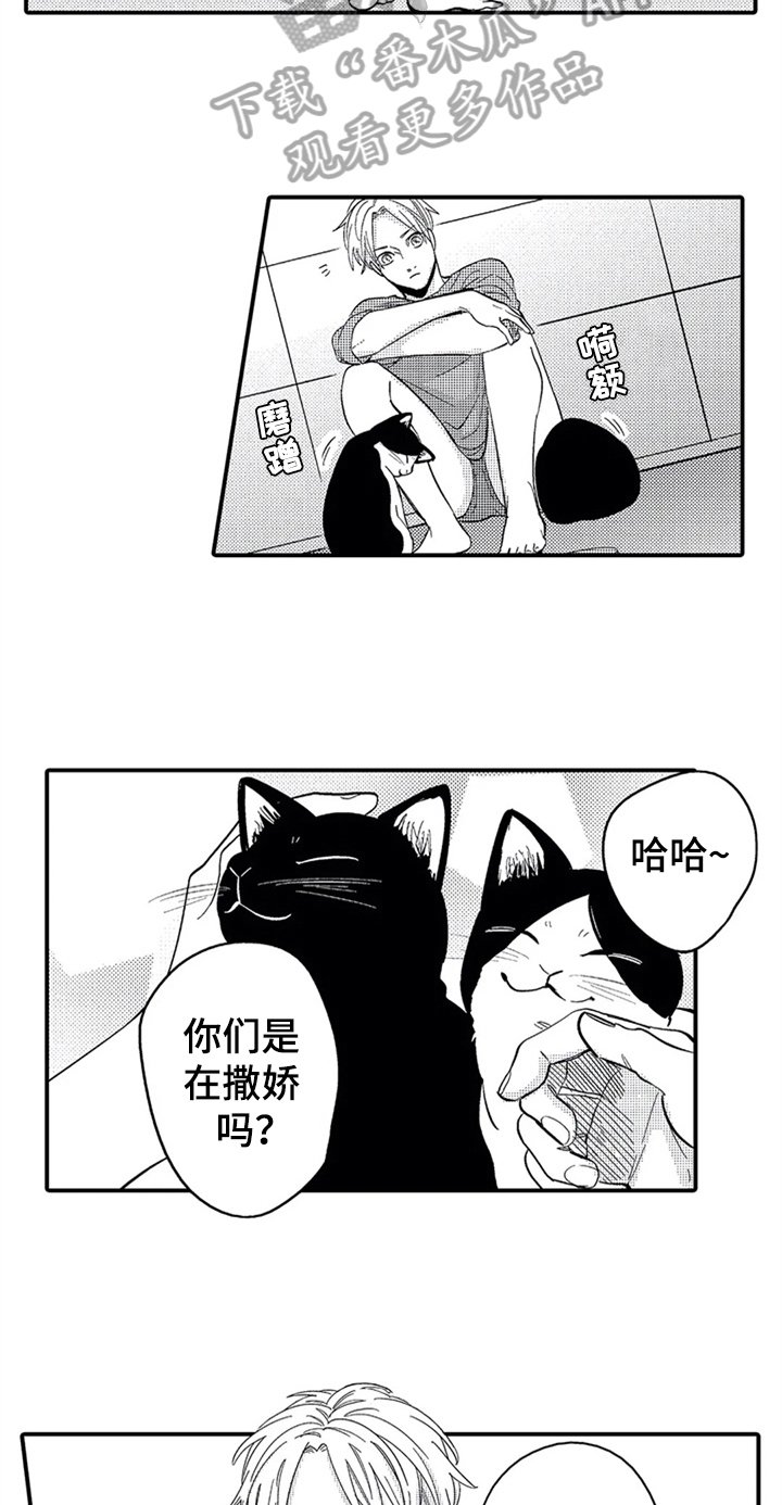 第23章：安排