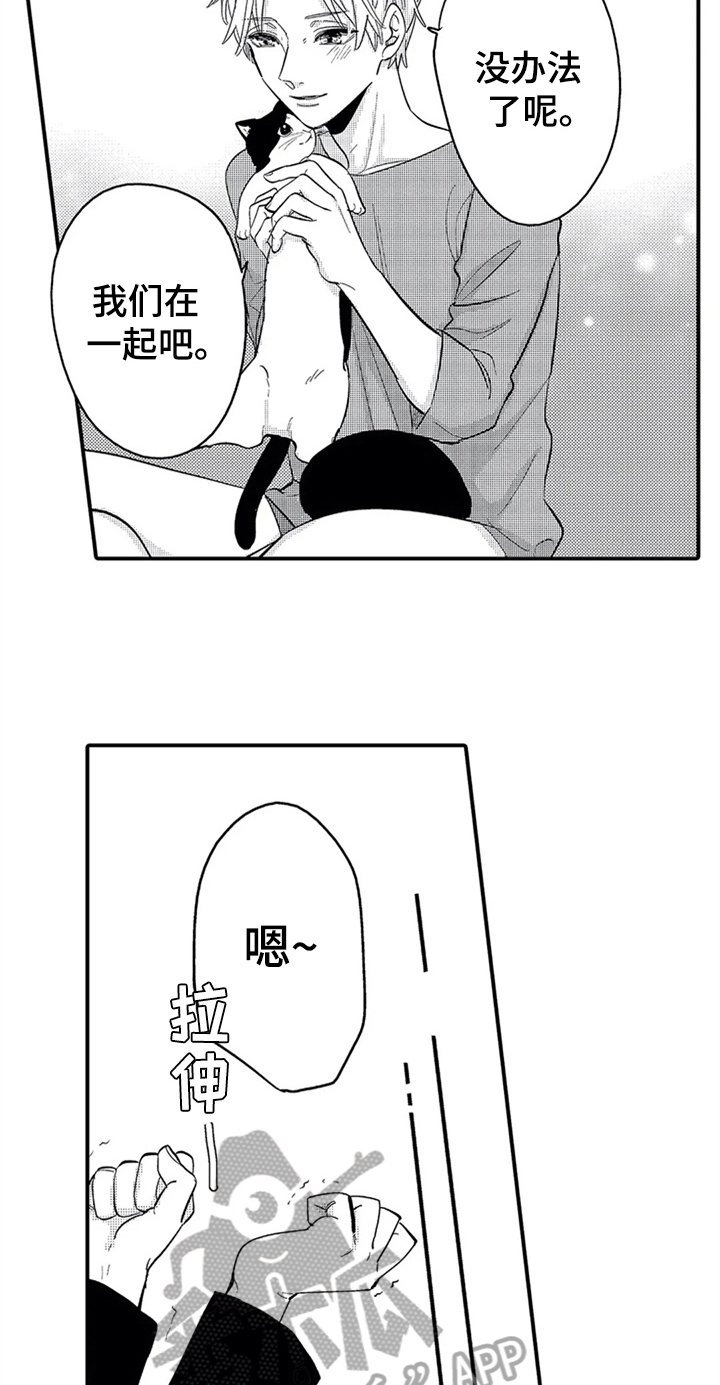 第23章：安排