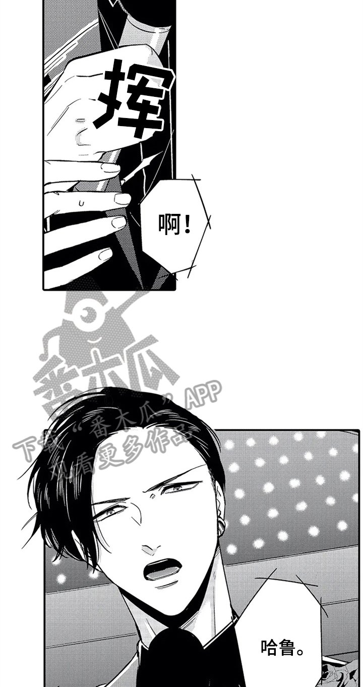 第28章：宣言