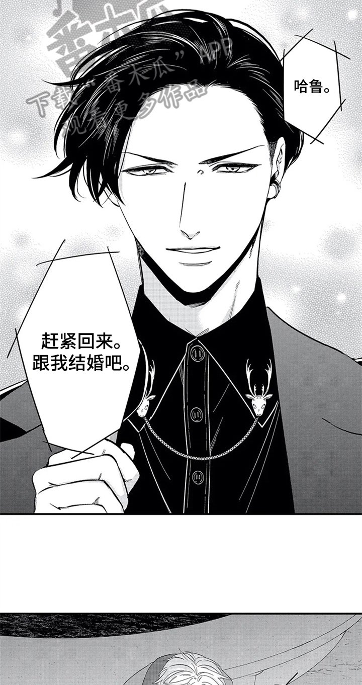 第28章：宣言