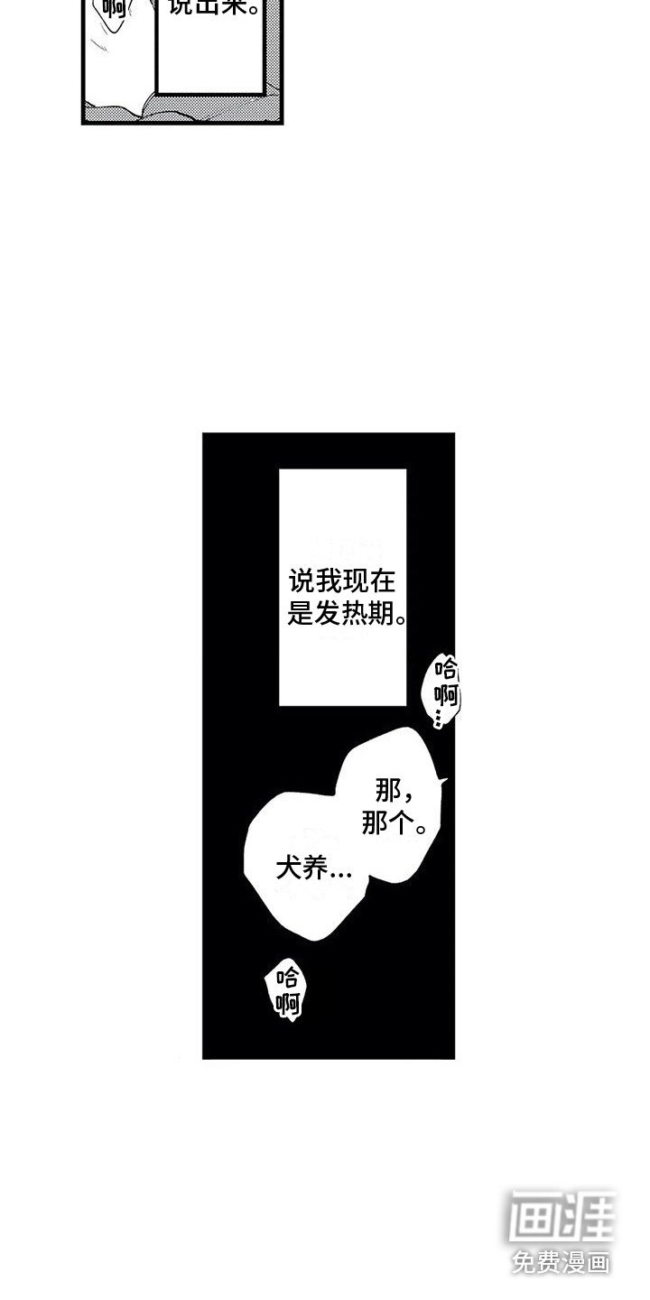 第15章：发热期 