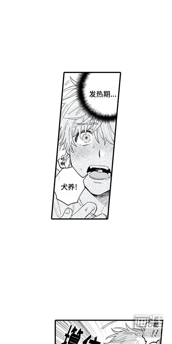 第15章：发热期 