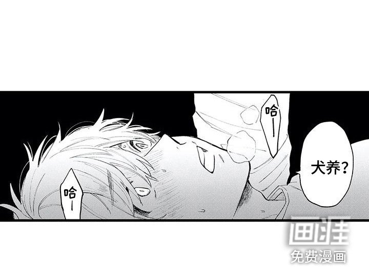 第15章：发热期 