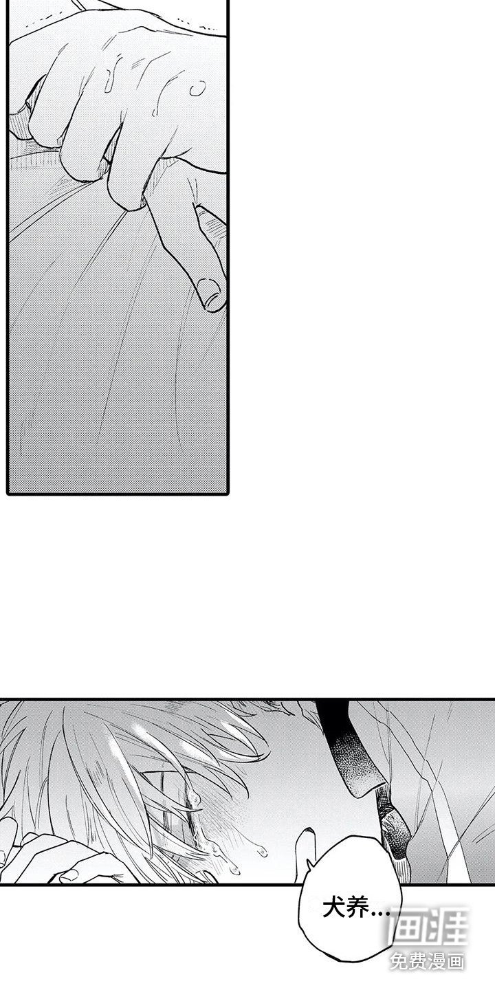 第28章：心意
