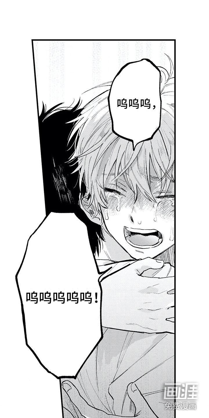 第30章：真心喜欢 