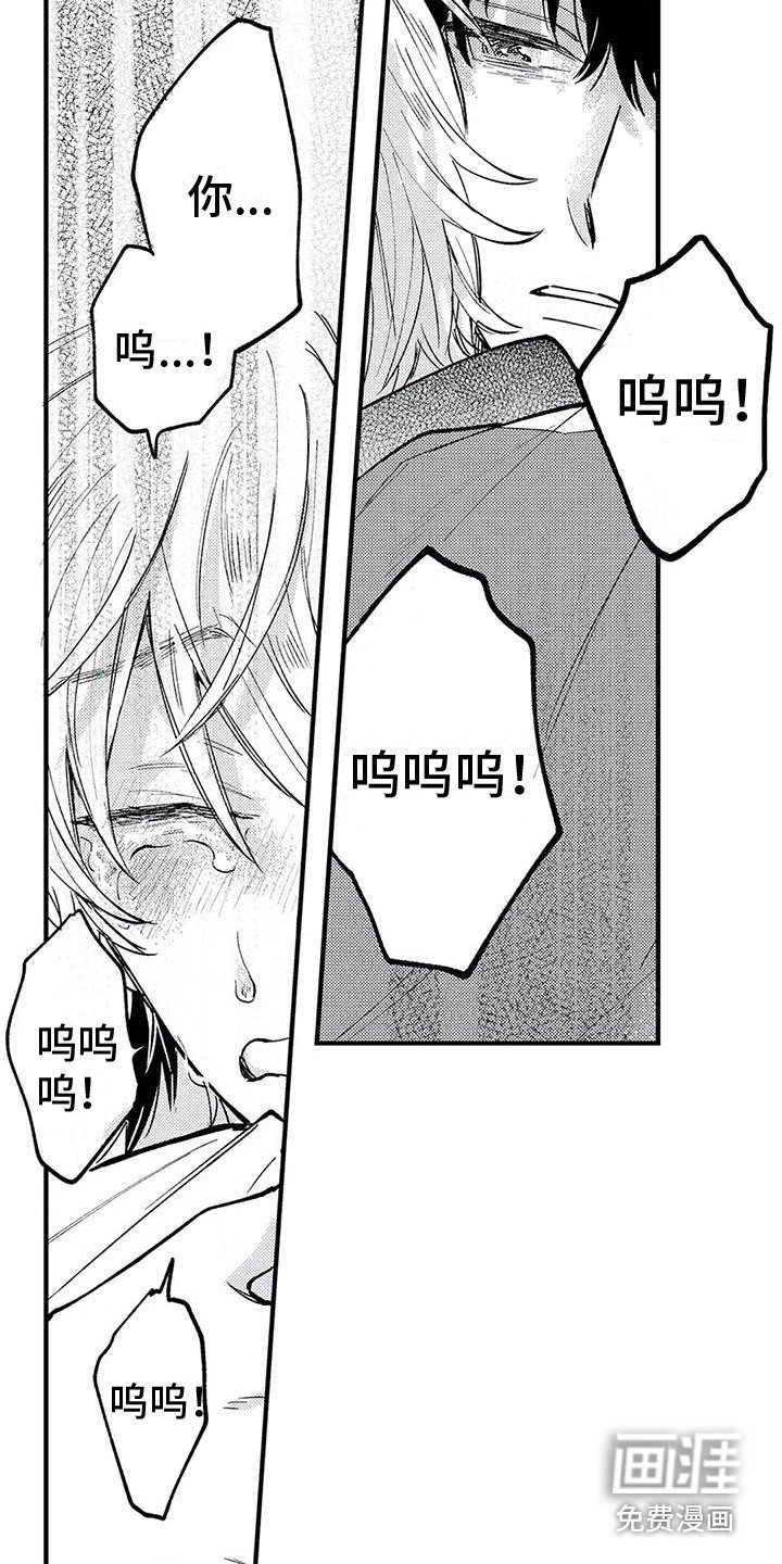 第30章：真心喜欢 
