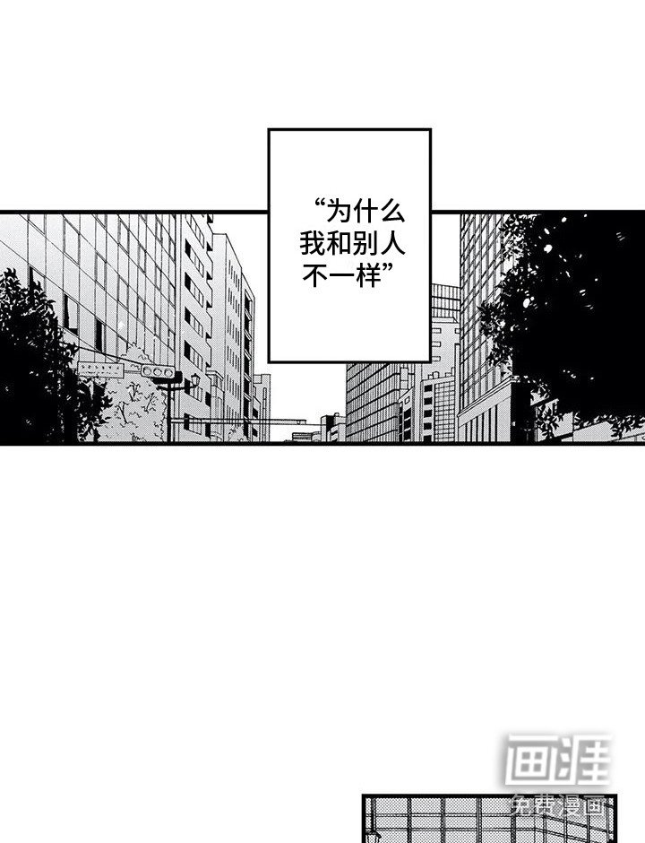 第31章：回归日常（完结）