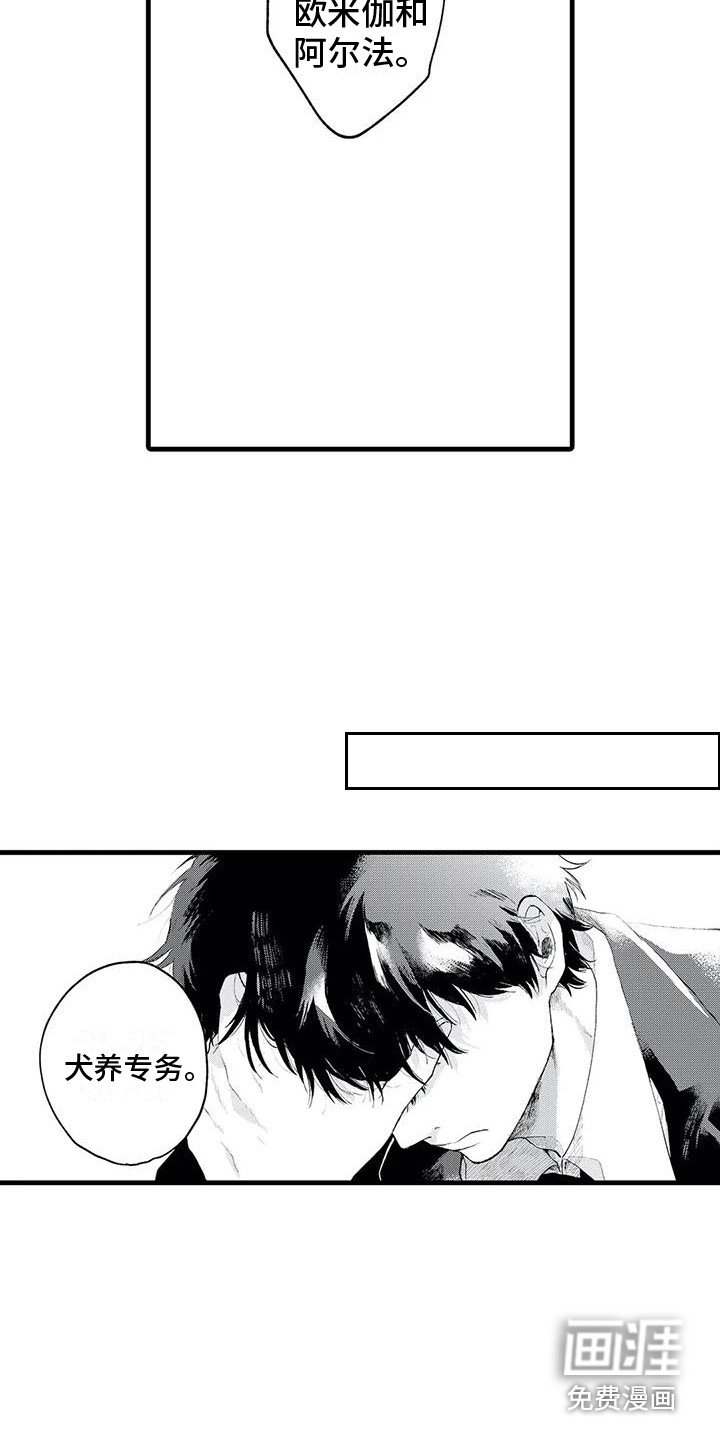 第6章：最后的阿尔法