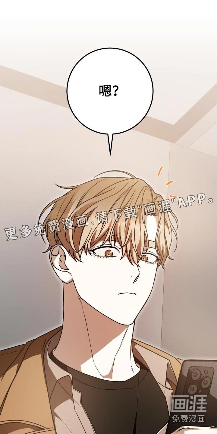 第123章：发生了什么