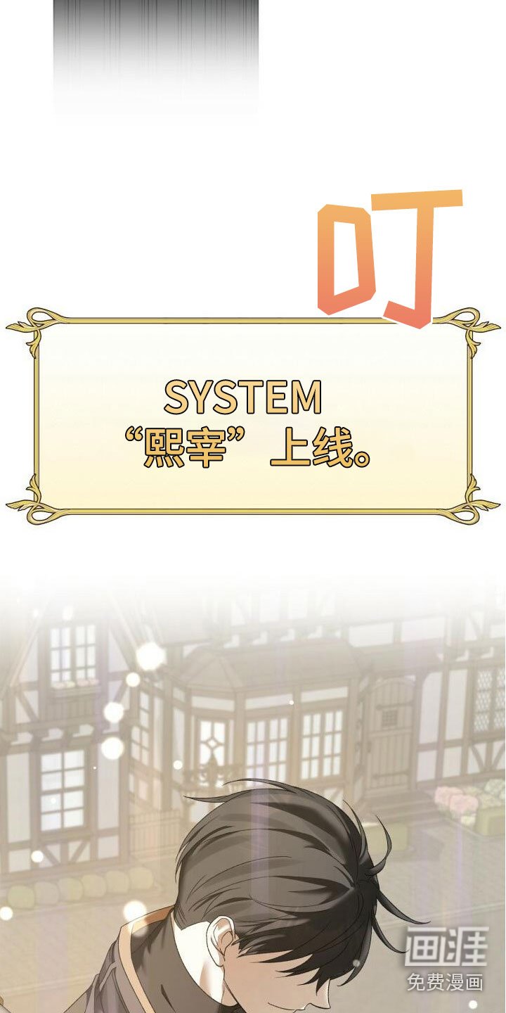 第13章：围观