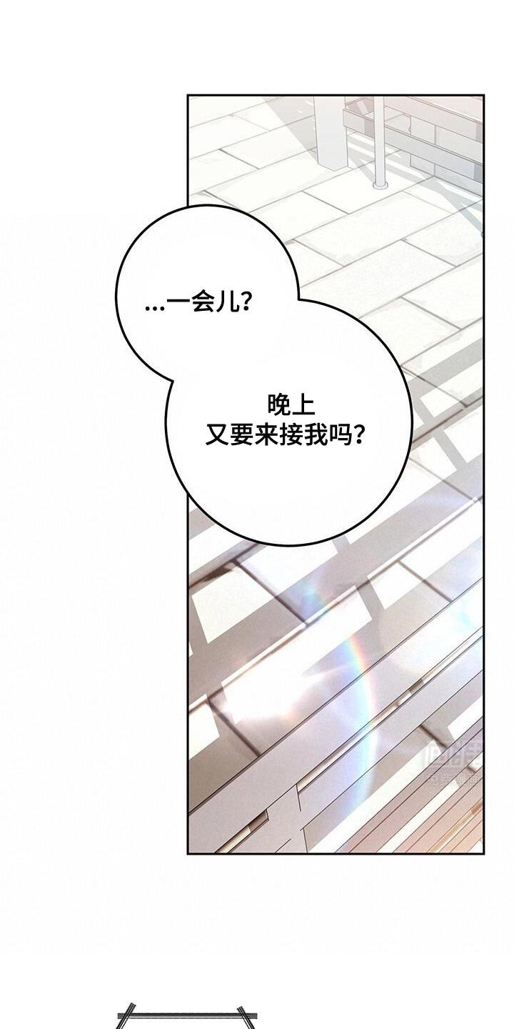 第162章：以后一起住吗？