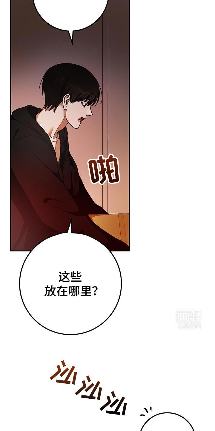 第166章：愿望