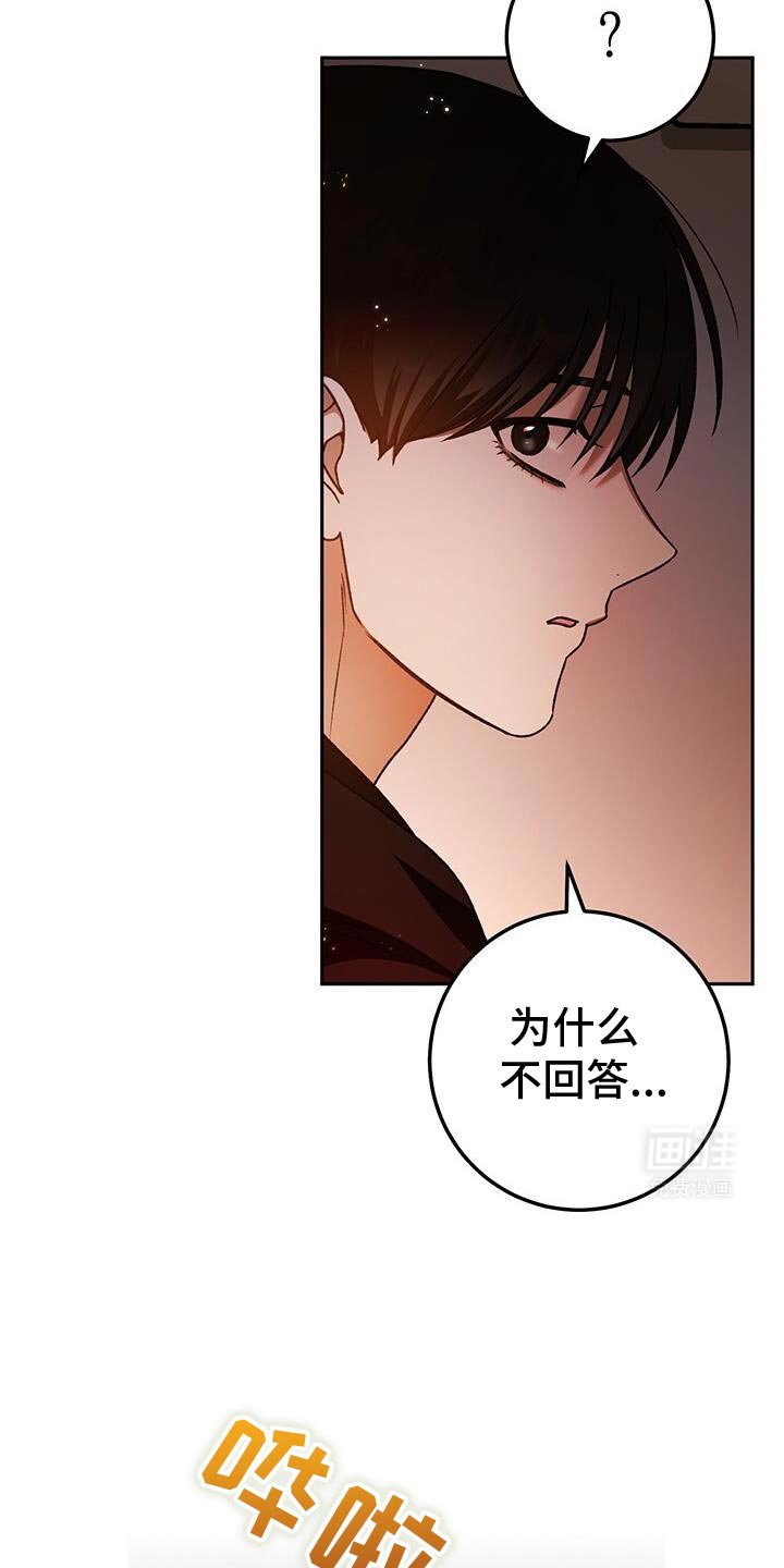 第166章：愿望