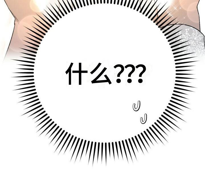 第17章：礼物