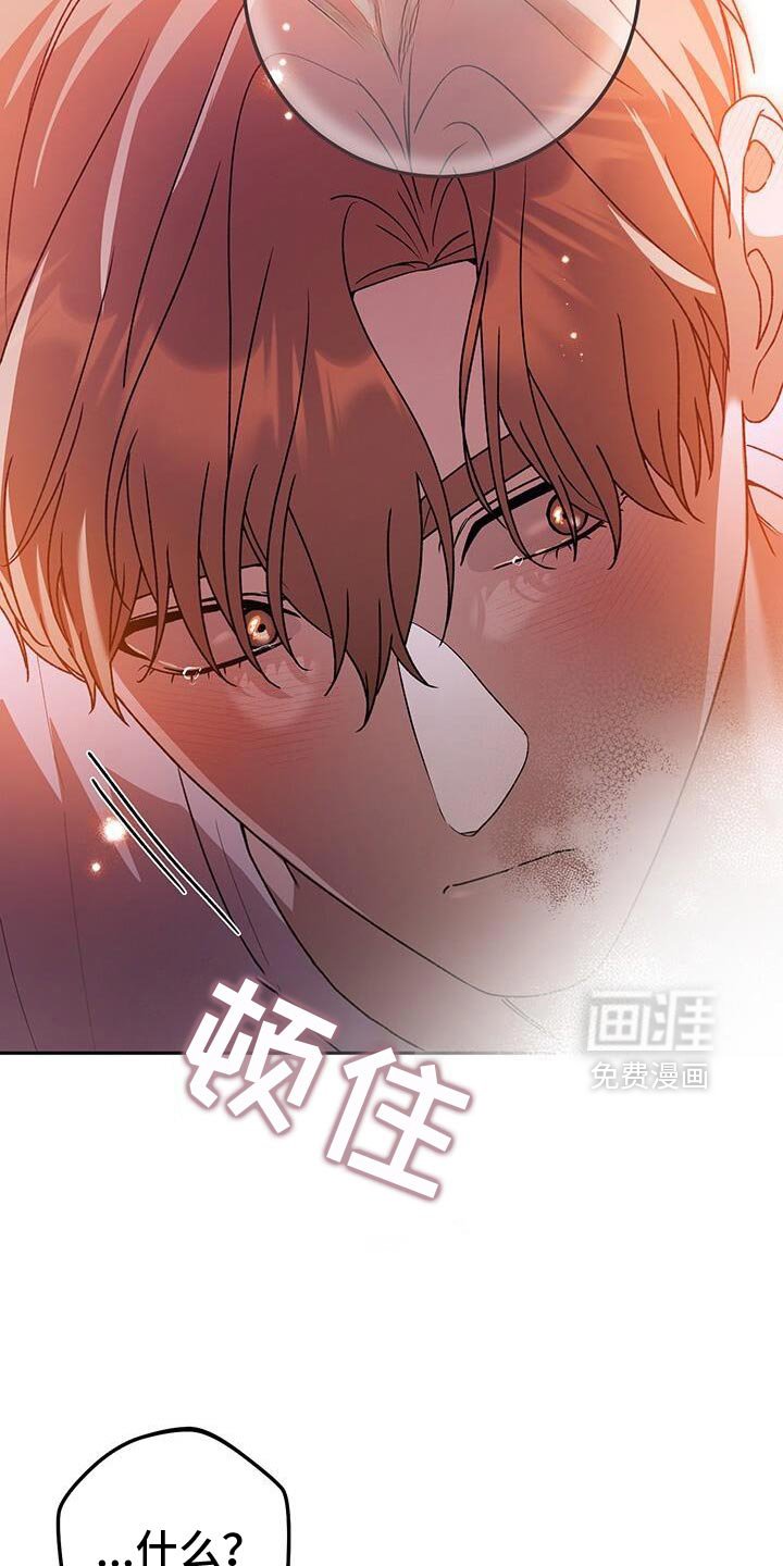 第178章：有点傻的人