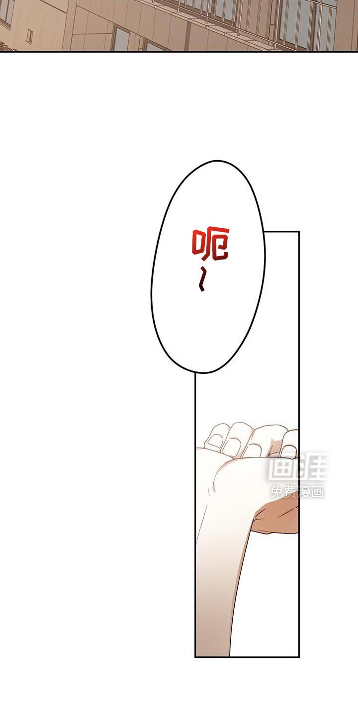 第180章：我来吸引