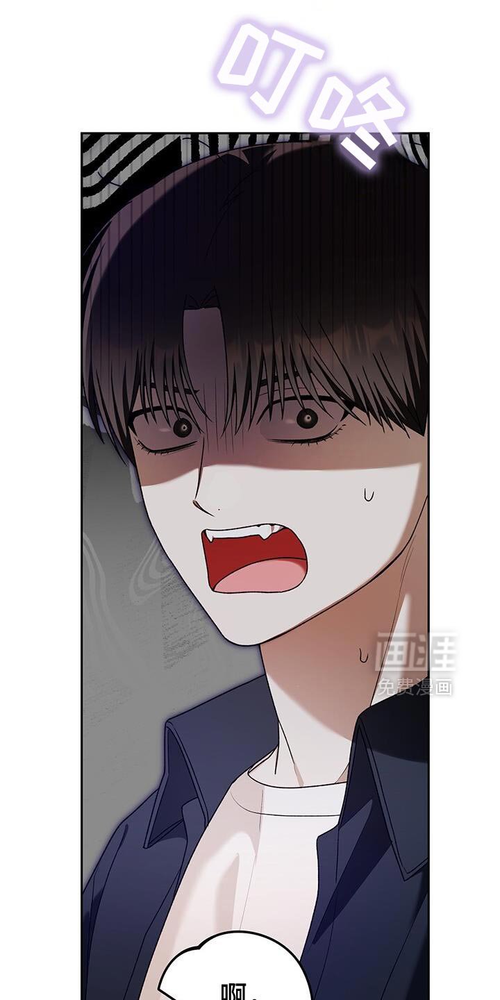 第181章：一起直播！