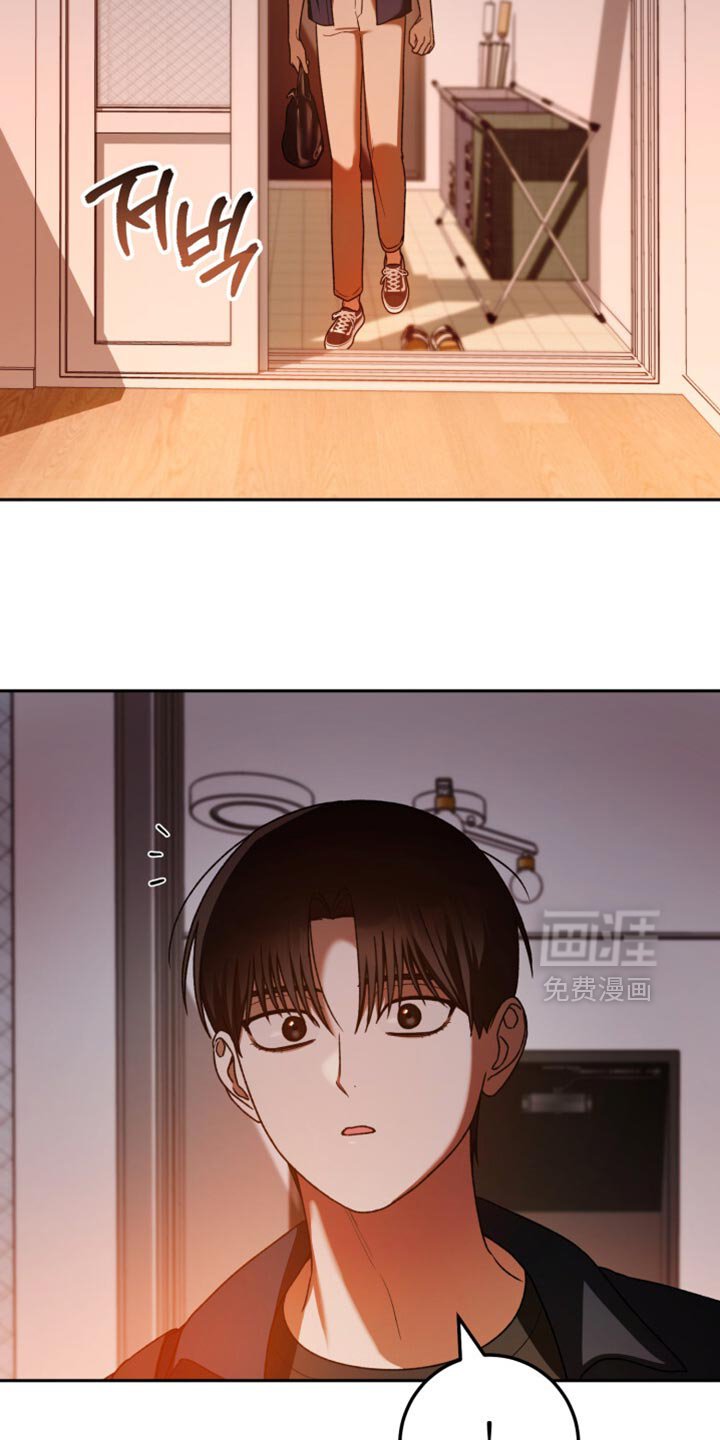 第186章：你要回去吗？