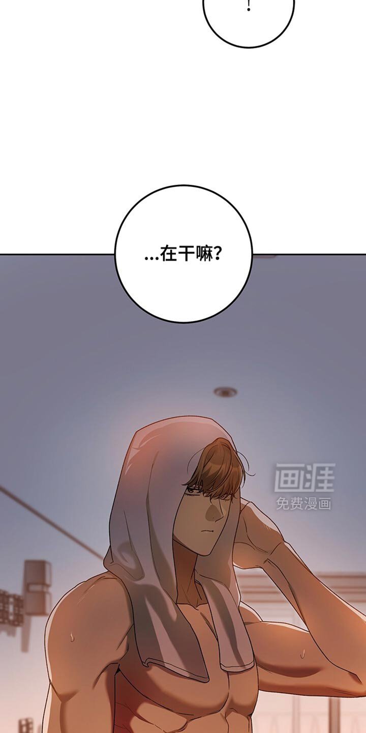 第186章：你要回去吗？