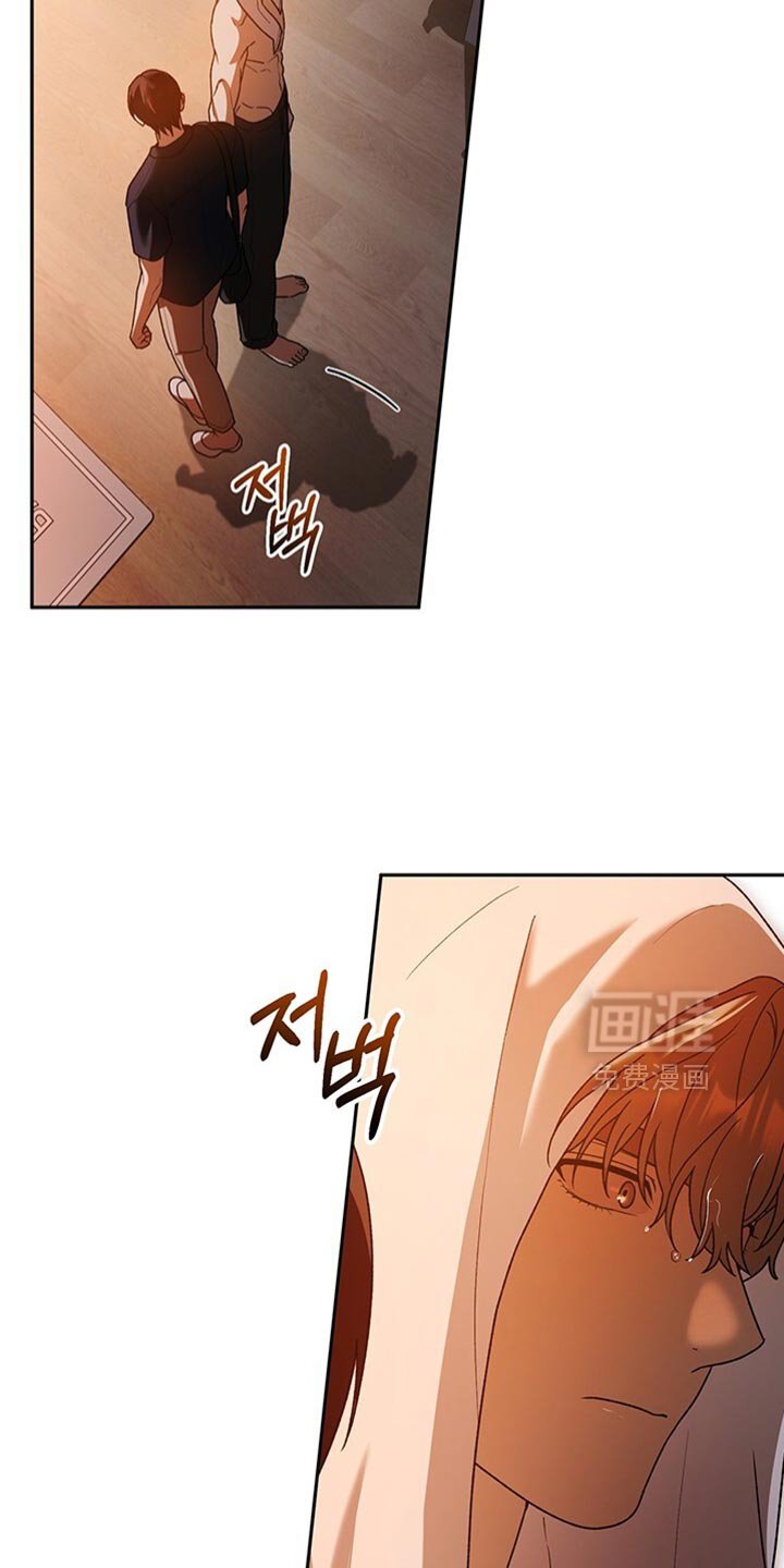 第186章：你要回去吗？