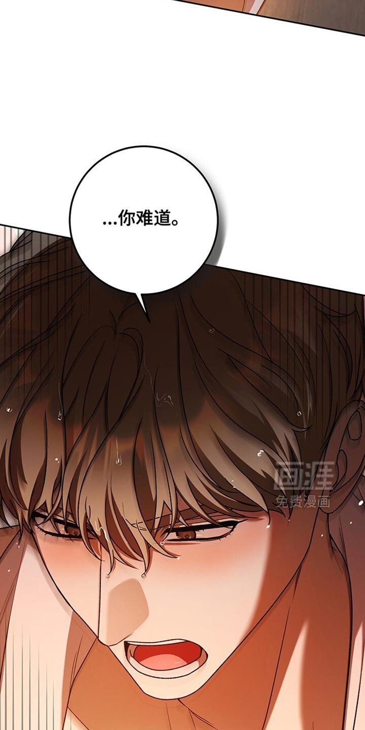 第186章：你要回去吗？