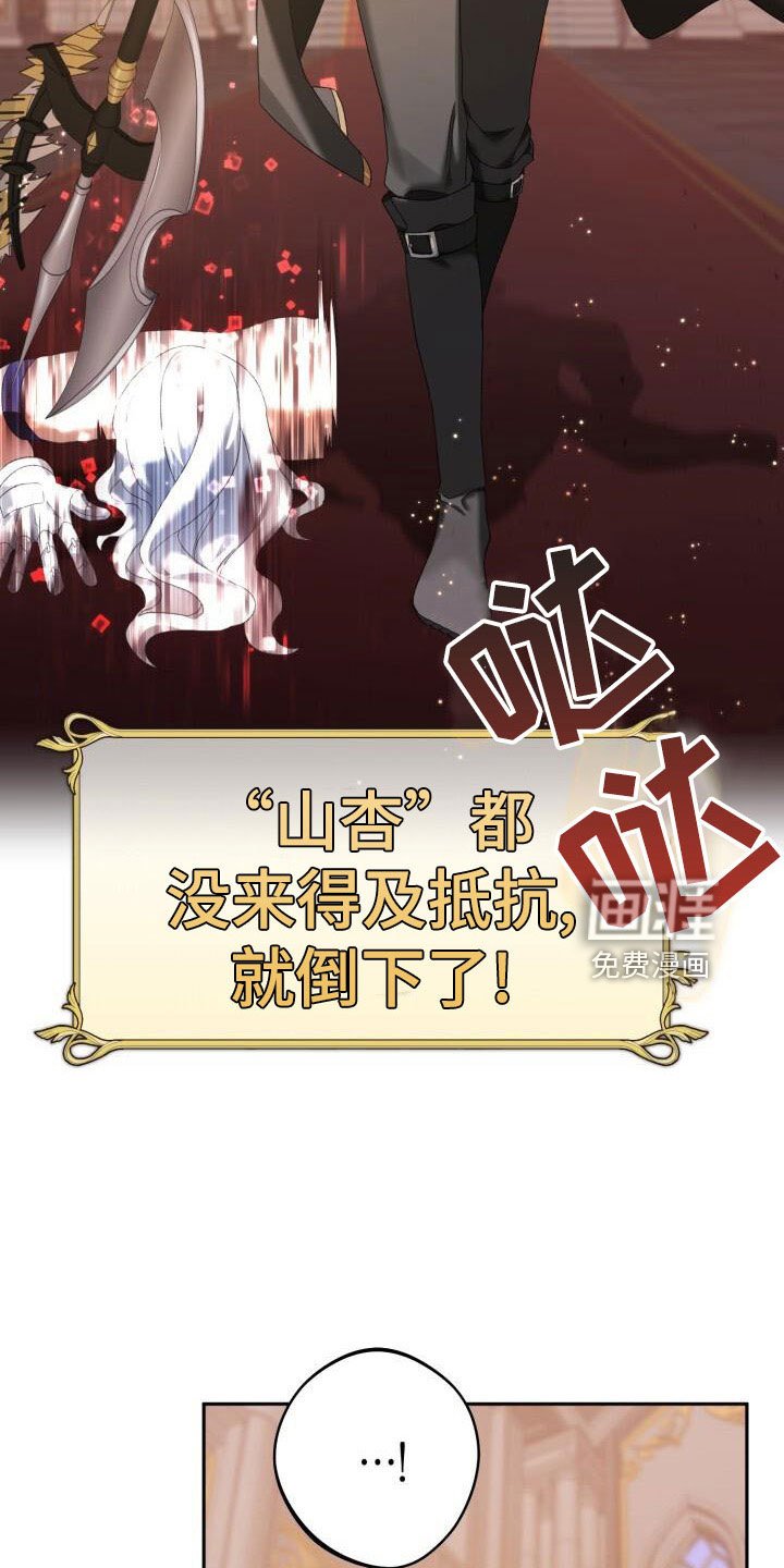 第37章：战场屠夫