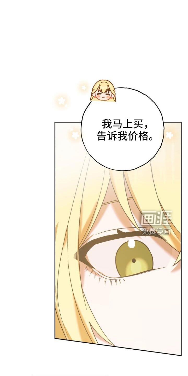 第39章：高价