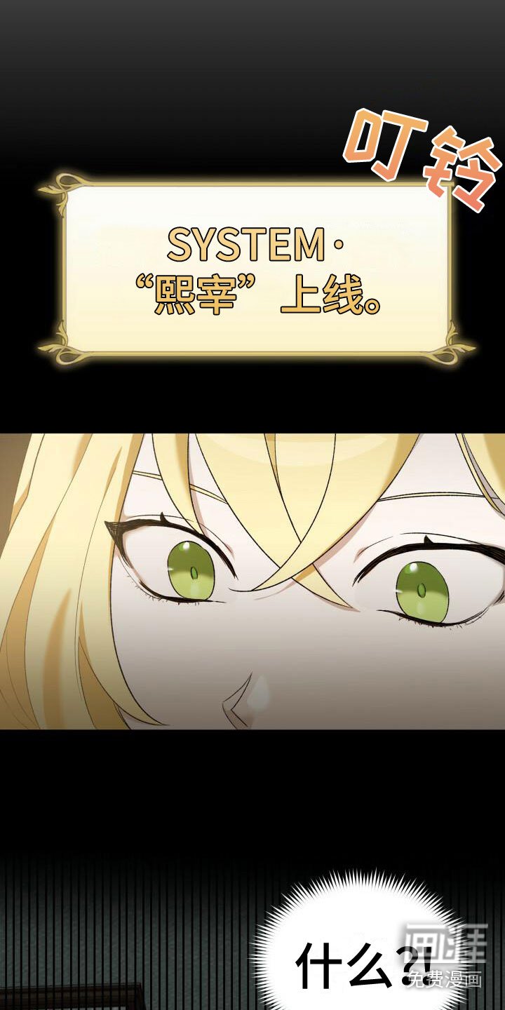 第5章：是他