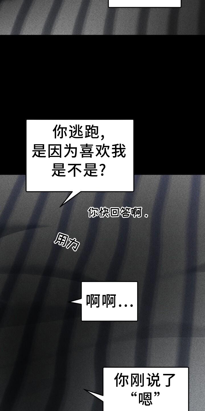 第77章：理论