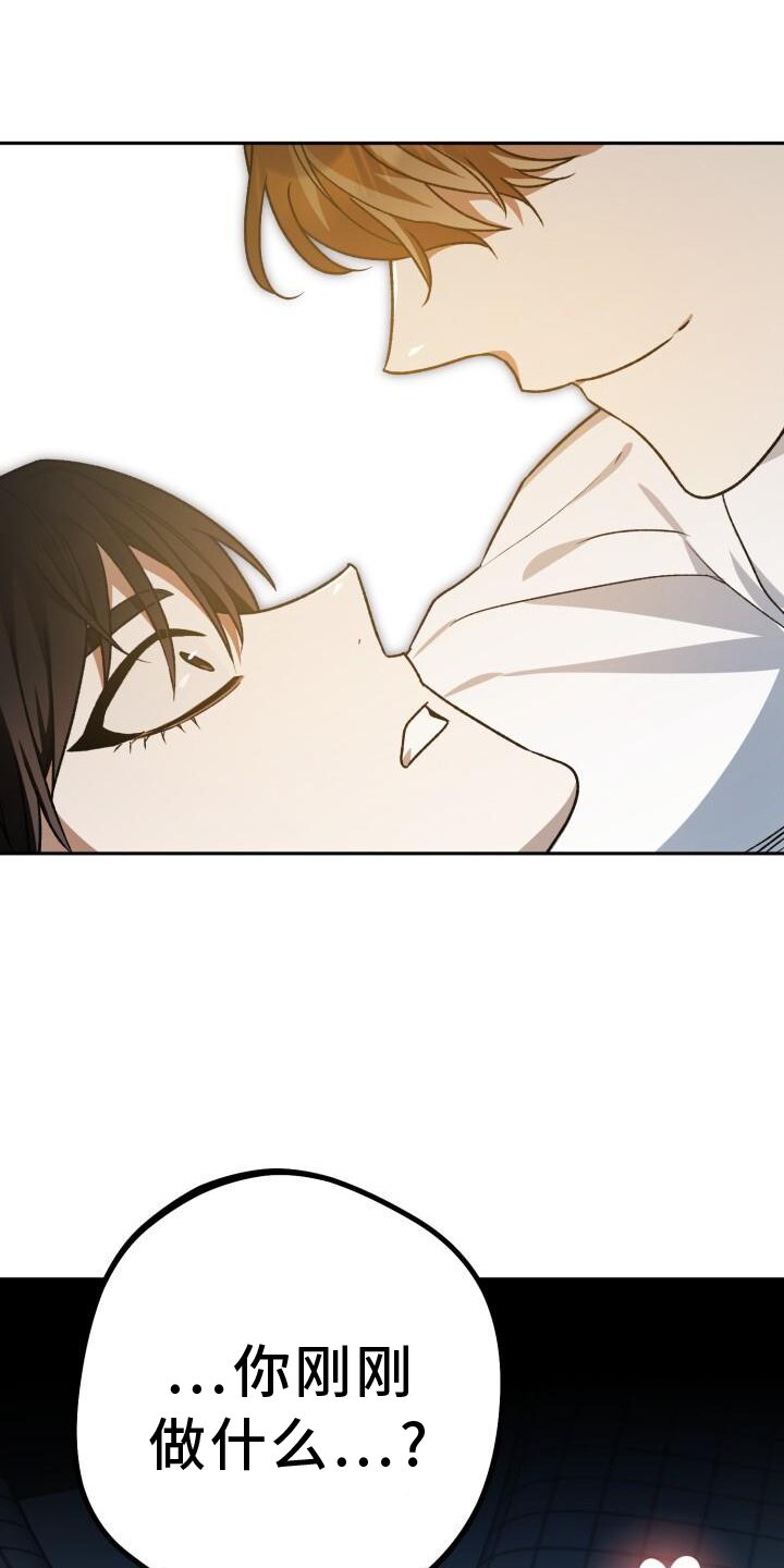 第77章：理论