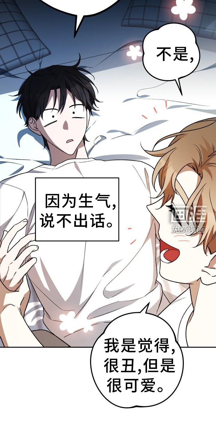 第77章：理论