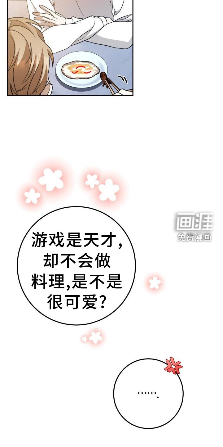第77章：理论
