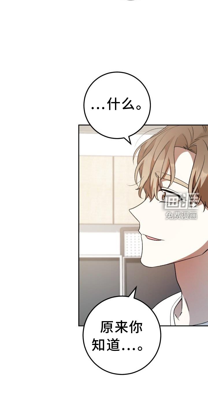 第86章：弄点别的
