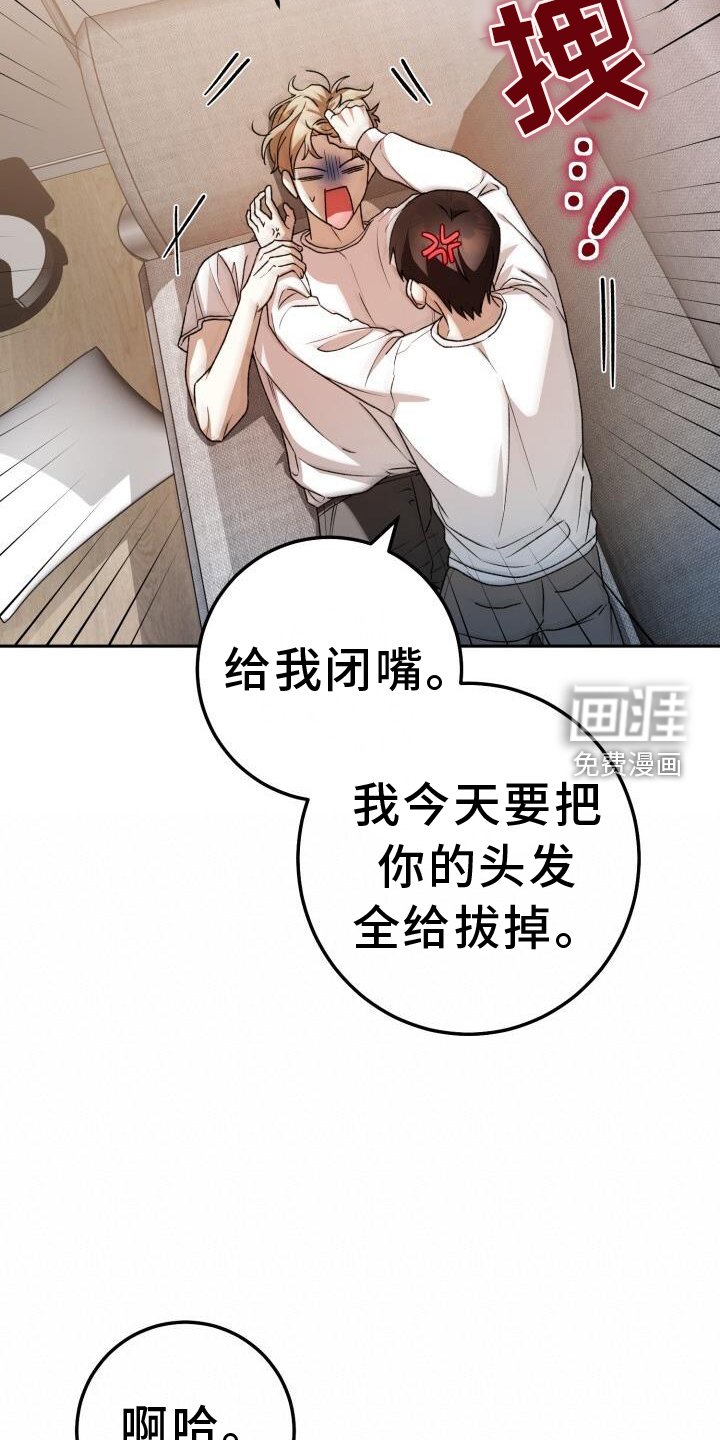 第86章：弄点别的