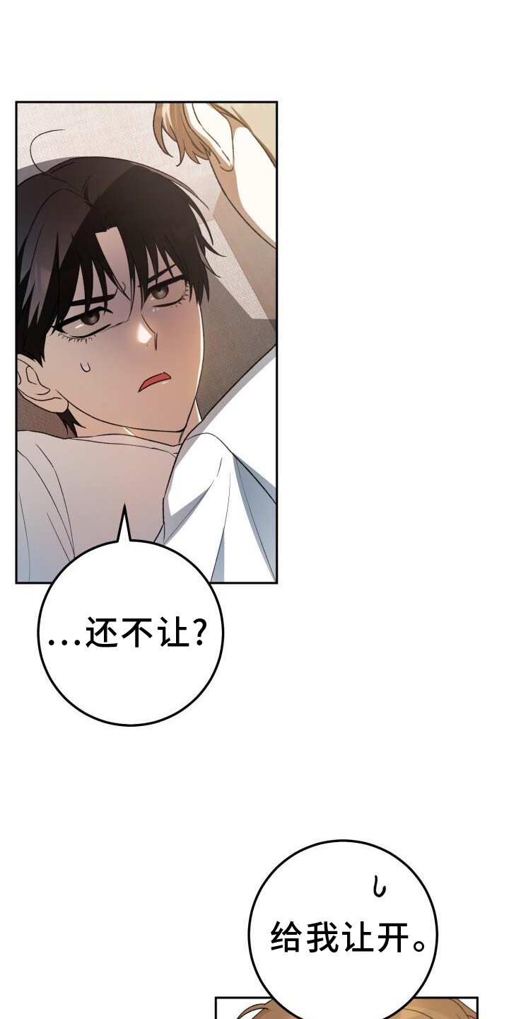 第86章：弄点别的