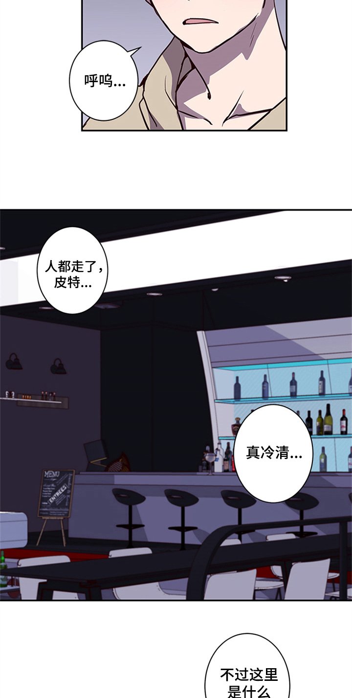 第13章：醉酒