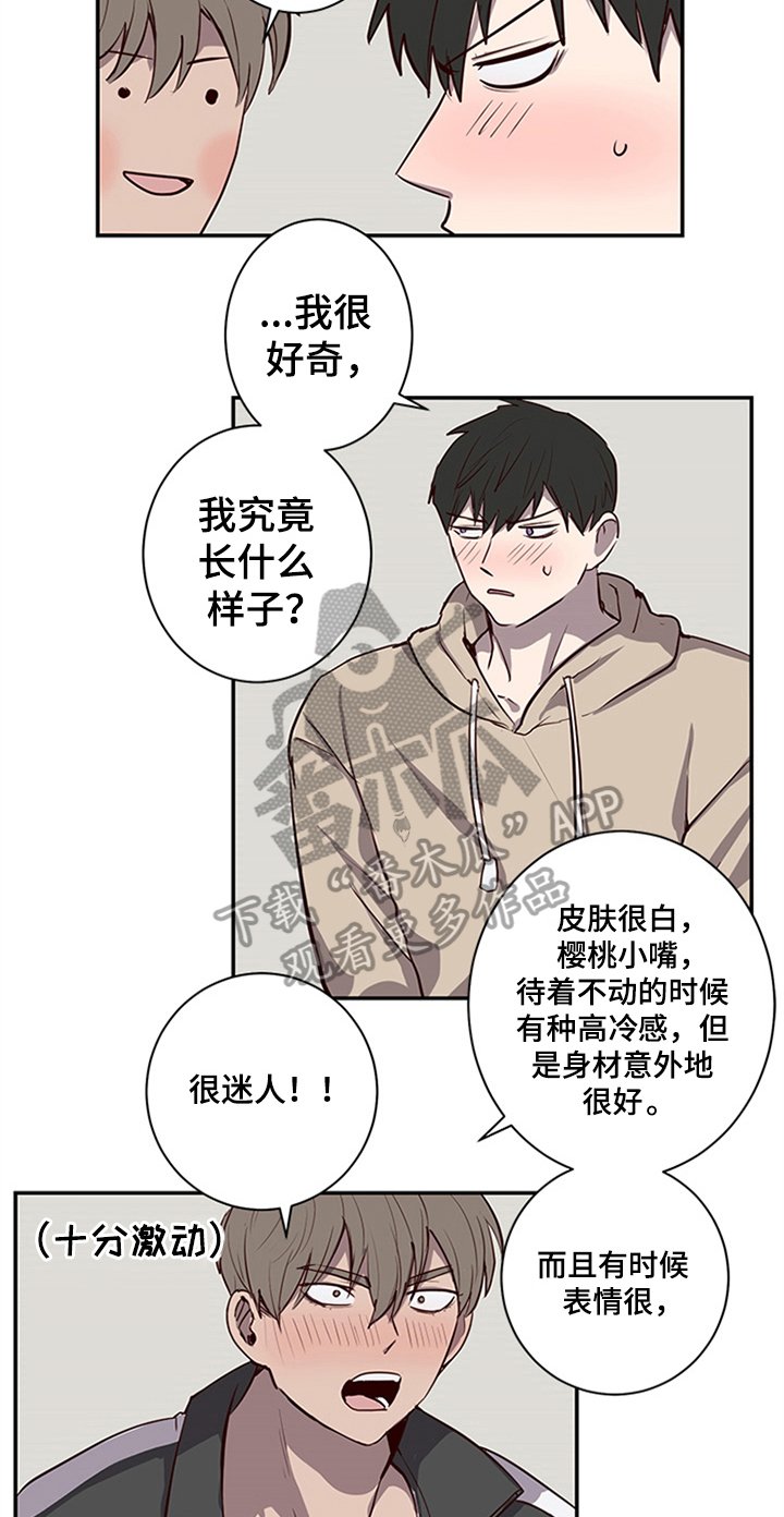第20章：提议
