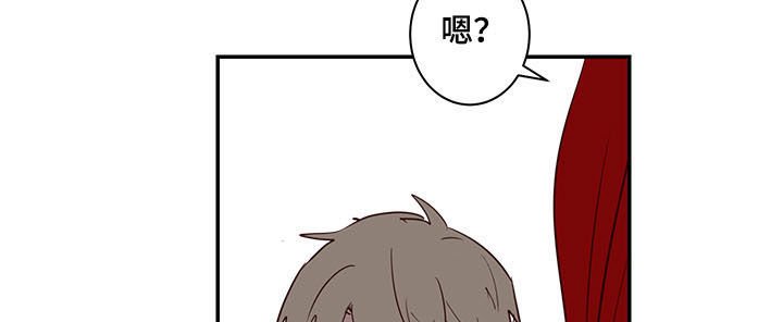 第25章：论坛