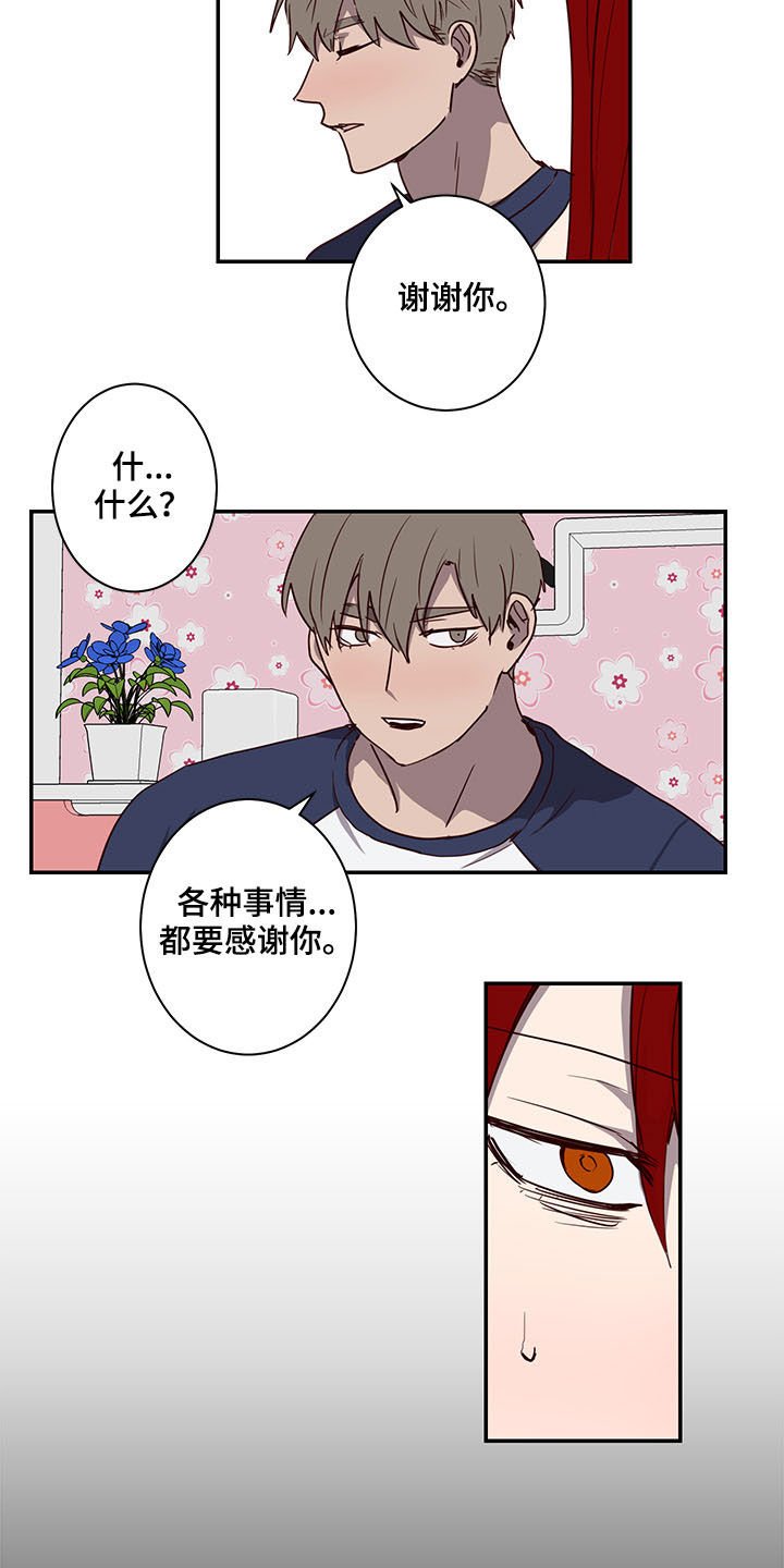 第25章：论坛