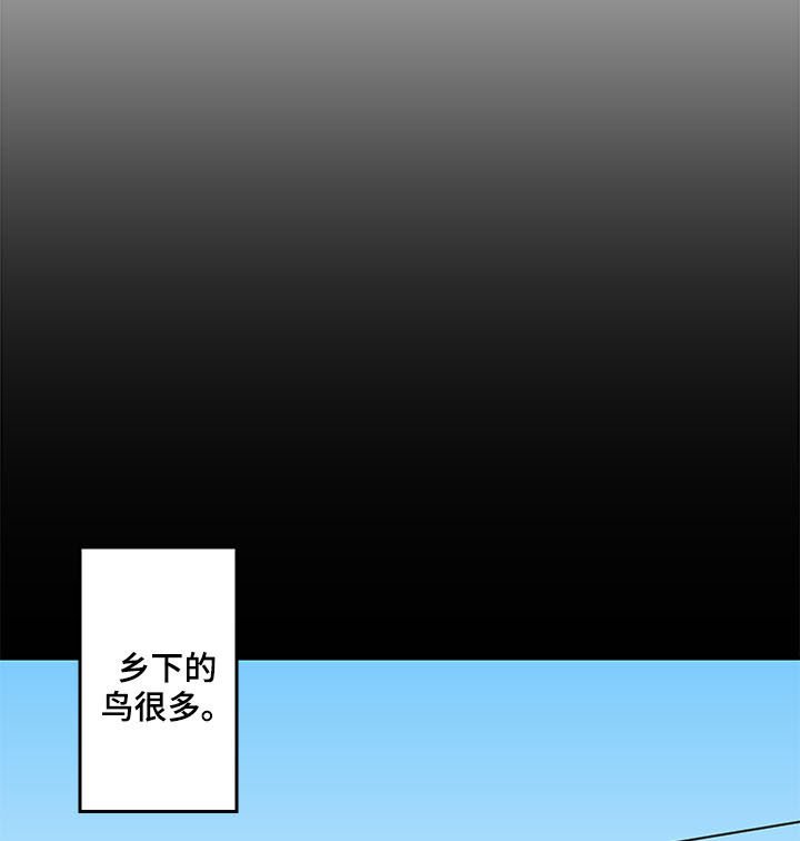 第25章：论坛
