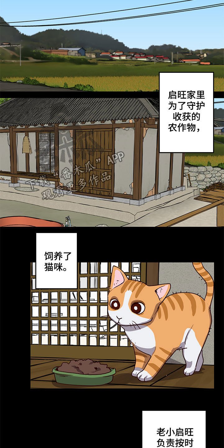 第25章：论坛
