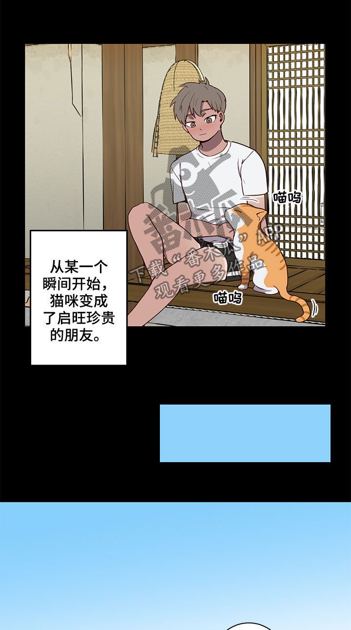 第25章：论坛