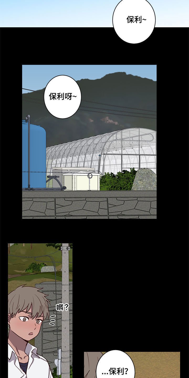 第25章：论坛