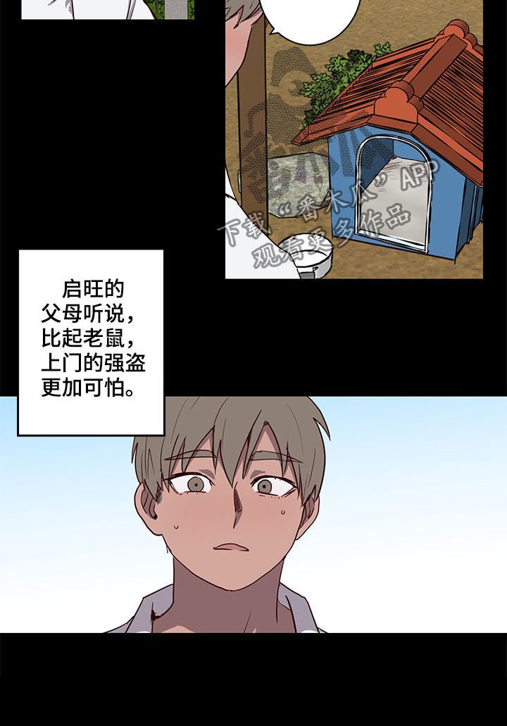 第25章：论坛