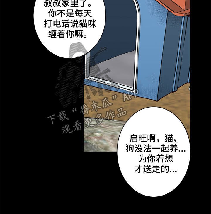 第25章：论坛